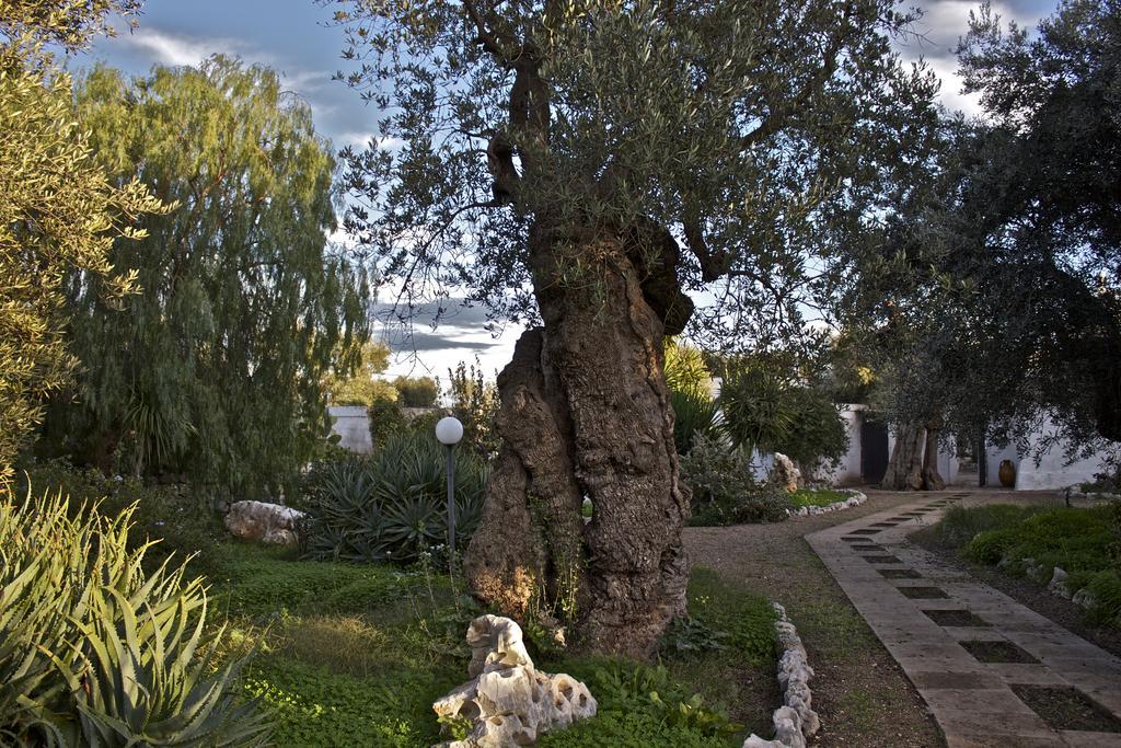 Masseria Vagone Macchia di Monte Экстерьер фото